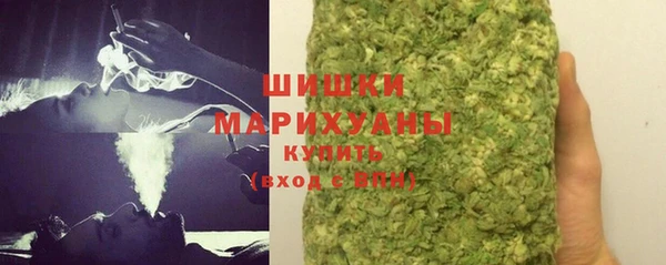 стафф Бородино