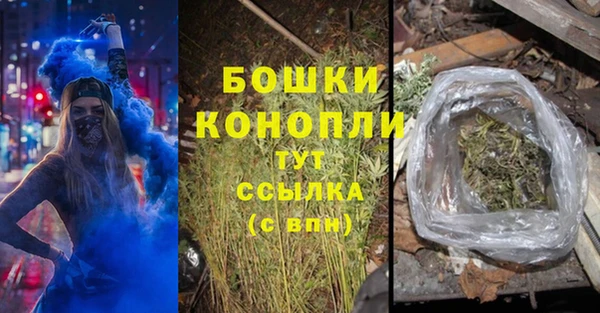 стафф Бородино
