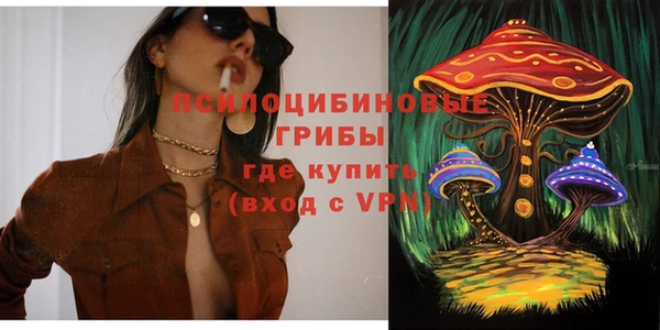 стафф Бородино