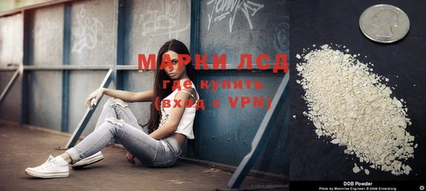 стафф Бородино