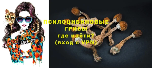 стафф Бородино