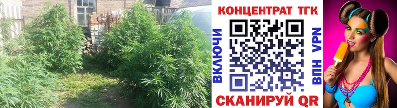 Дистиллят ТГК гашишное масло  Комсомольск-на-Амуре 