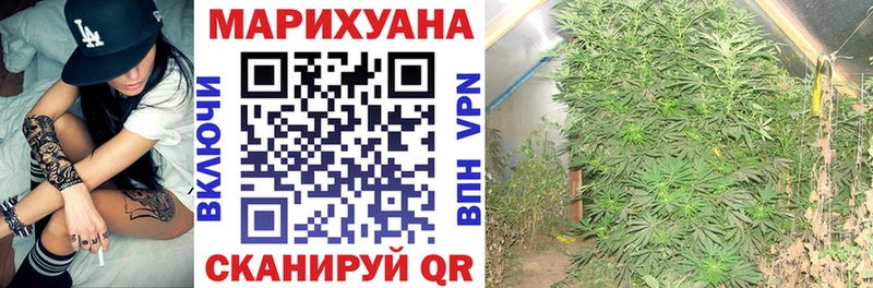 закладка Комсомольск-на-Амуре Канабис SATIVA & INDICA